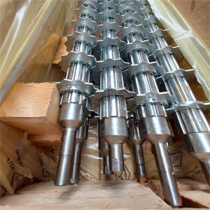 D Roller of Chips Screen
